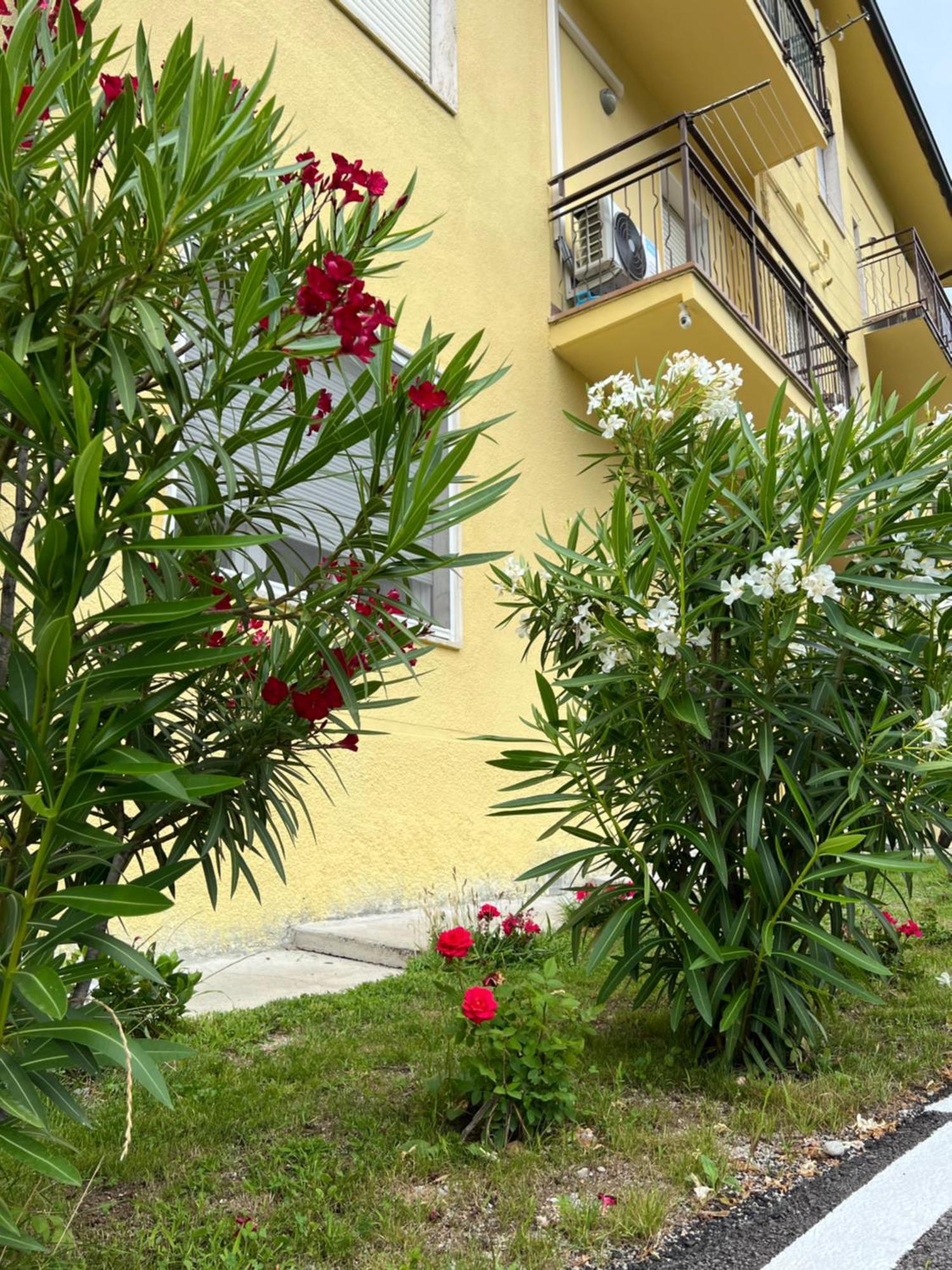 Villa Casa R&E Valbrona Exterior foto